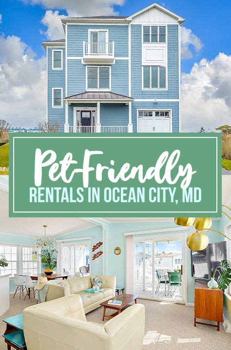 Ocean City Pet Friendly Vacation Rentals & RBO Homes